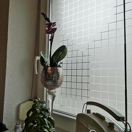 Apartment Ambiente Radolfzell am Bodensee